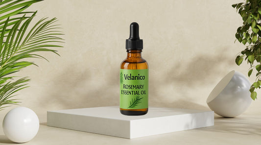 Rosemary Oil Benefits for Hair Growth: Fact or Hype?