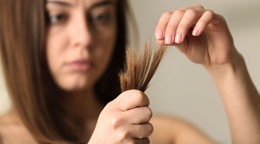 How to Repair Damaged Hair: A Step-by-Step Guide