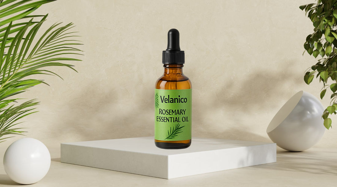Rosemary Oil Benefits for Hair Growth: Fact or Hype?